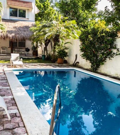 front pool jungle dream downtown yourcozumel